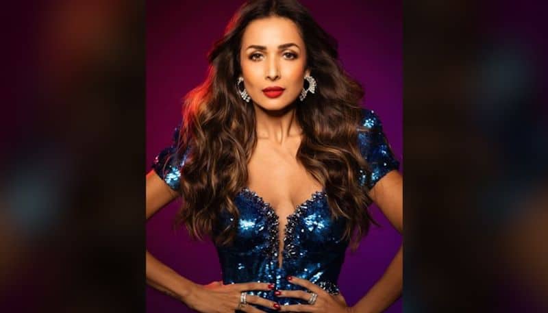 Malaika Arora proves that she is the greatest fashionista in a sequined dress with a thigh-slit drb
