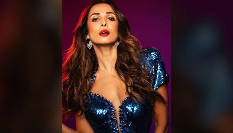 Malaika Arora proves that she is the greatest fashionista in a sequined dress with a thigh-slit drb