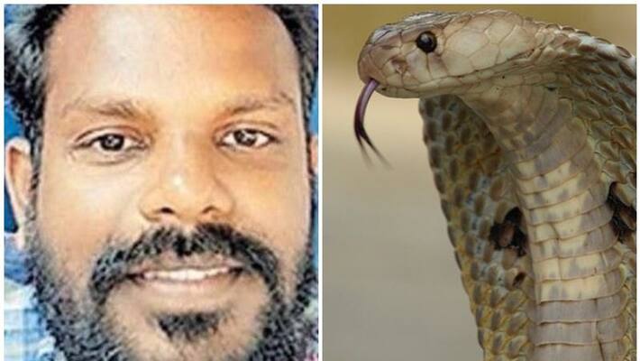 Man waiting with cobra bite and surrender to death later at thenmala Man waiting with cobra bite and surrender to death later at thenmala