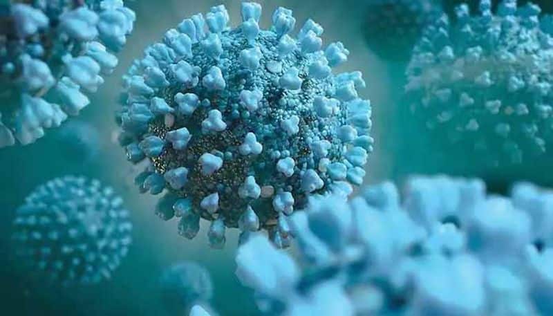 Omicron variant of coronavirus indicate that it may be less dangerous than Delta