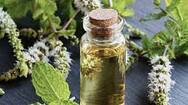 Health Tips: use mint oil in this way to overcome the problem of stress