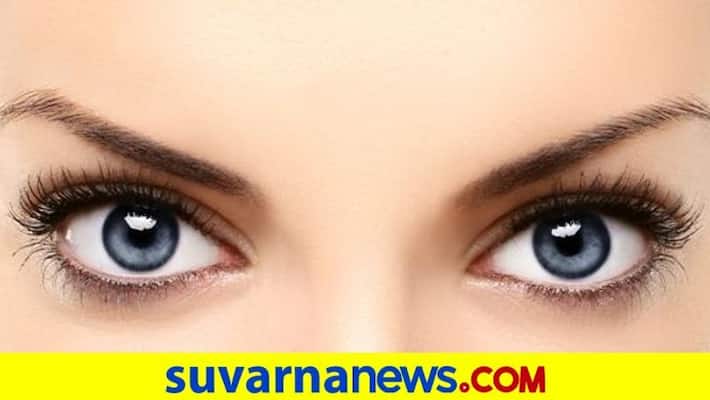 Eyes beauty and smartness Eyes beauty and smartness