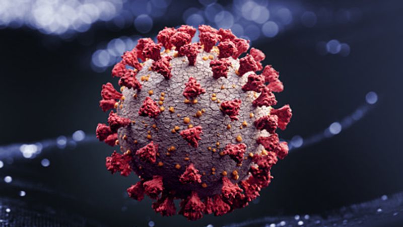 Britain Scientists say it too late to stop the spread of Omicron kpn