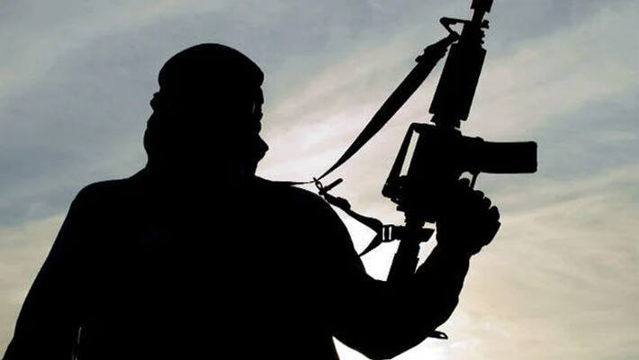 Security forces killed 56 foreign terrorists in Jammu and Kashmir this year: DGP Dilbagh Singh Security forces killed 56 foreign terrorists in Jammu and Kashmir this year: DGP Dilbagh Singh
