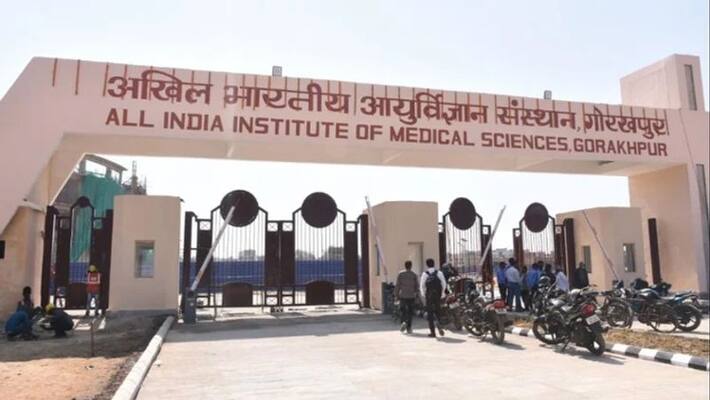PM Narendra Modi unveil AIIMS Gorakhpur People of Purvanchal will get treatment facility PM Narendra Modi unveil AIIMS Gorakhpur People of Purvanchal will get treatment facility