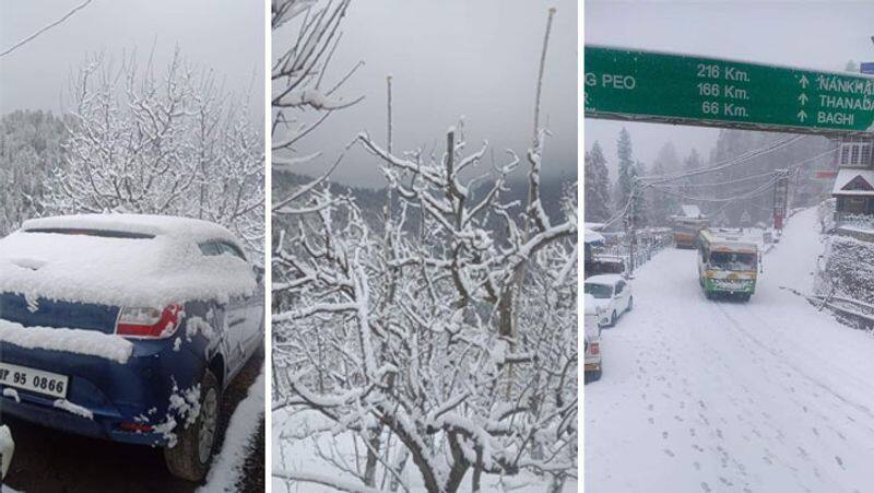 weather report, Beautiful pictures of snowfall in Kashmir and Uttarakhand KPA
