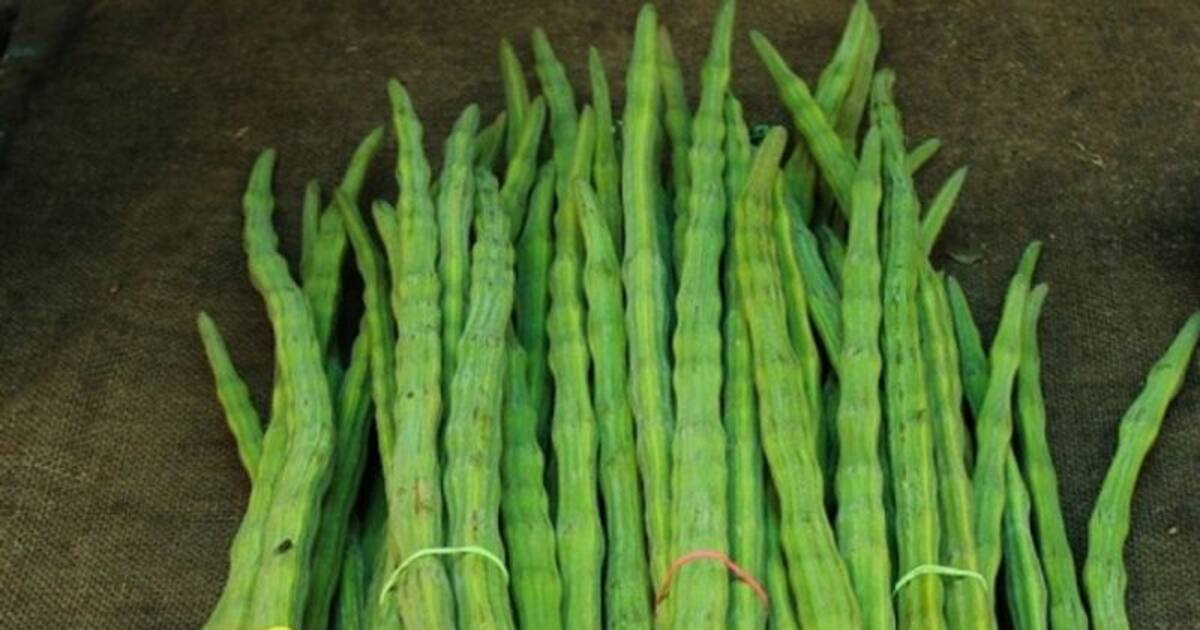 Vegetable Price Hike : முருங்கைக்காய் கிலோ 320 ரூபாய் !! கிடுகிடுவென உயரும் காய்கறி விலை..