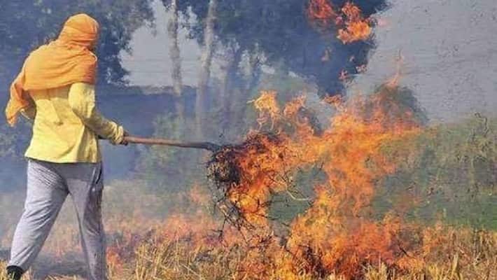 Will take 4-5 years to resolve stubble burning issue: Punjab pollution control body AJR Will take 4-5 years to resolve stubble burning issue: Punjab pollution control body AJR