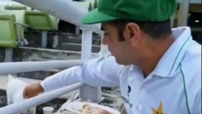 Ban vs pak: Abid Ali feeding a cat at lunch wins hearts on internet Ban vs pak: Abid Ali feeding a cat at lunch wins hearts on internet