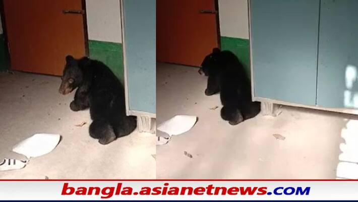 Forest Department has come to rescue the bear in Mal bazar RTB Forest Department has come to rescue the bear in Mal bazar RTB