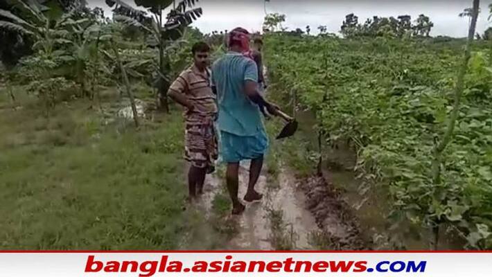 WB Farmers are worried about crops due to stagnant water WB Farmers are worried about crops due to stagnant water