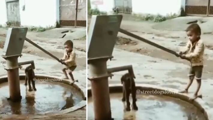 child helps street dog to get drinking water child helps street dog to get drinking water