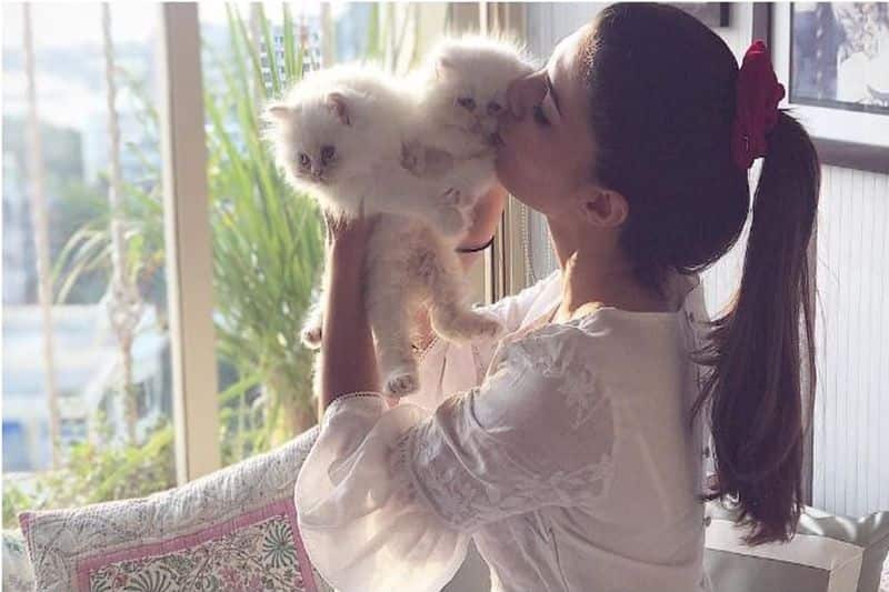 Jacqueline Fernandez flaunts her love bite with Sukhesh Chandrashekhar see viral pics