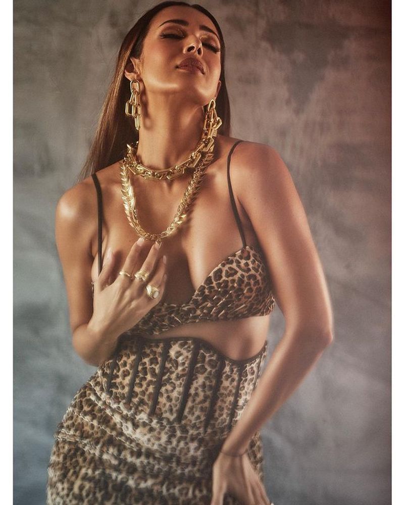 Malaika Arora looks super sexy in leopard printed bralette dress BRD