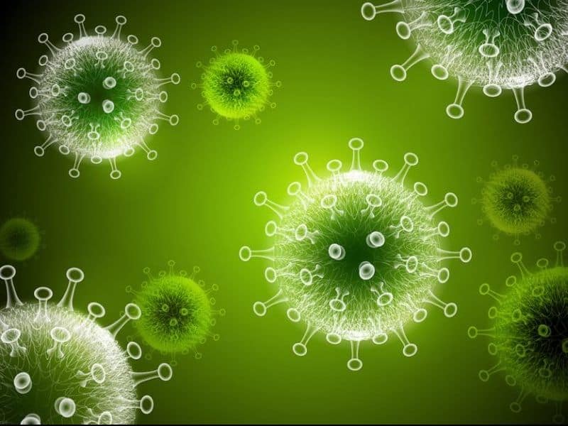 First death by omicron virus in britain