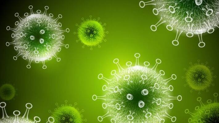 Omicron Infected Patients, Karnataka s New Hospital Discharge Rules mah Omicron Infected Patients, Karnataka s New Hospital Discharge Rules mah