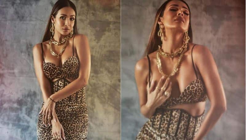 Malaika Arora looks super sexy in leopard printed bralette dress BRD