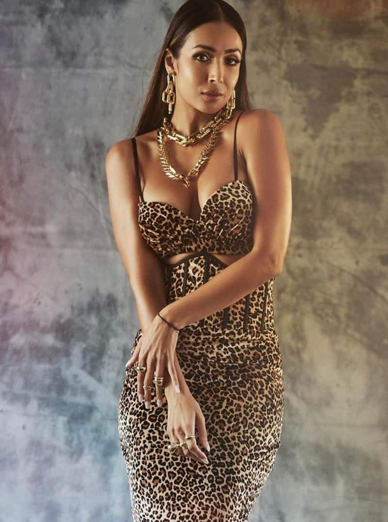 Malaika Arora In A Leopard Print Corset Look Hot