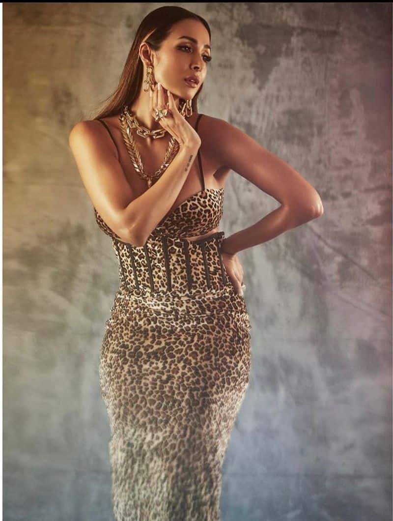 Malaika Arora In A Leopard Print Corset Look Hot