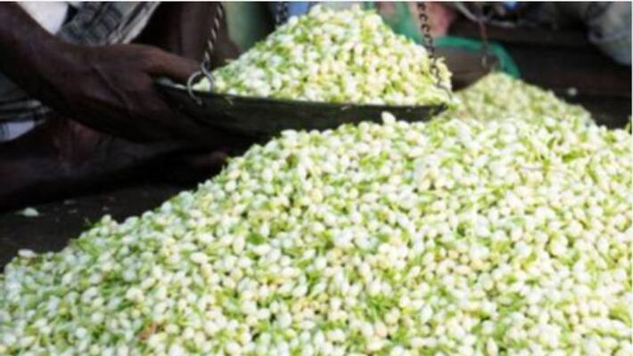 Jasmine Rate increase Jasmine Rate increase