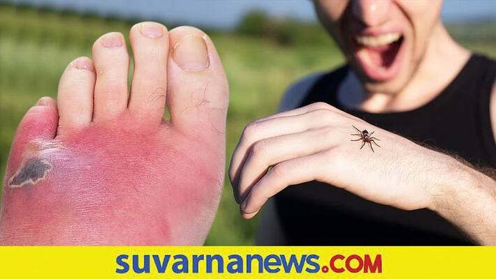 What happens if Spider bites private part What happens if Spider bites private part