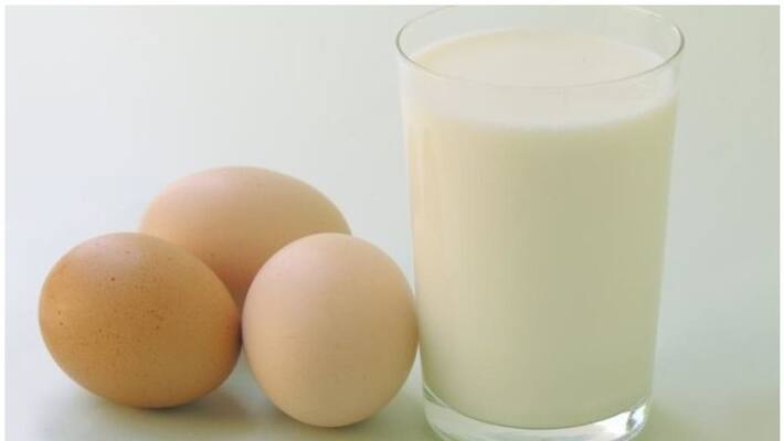 milk and eggs for anganwadi children in kerala milk and eggs for anganwadi children in kerala