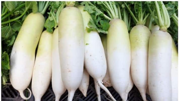 Do Not Consume Radish With These Things Do Not Consume Radish With These Things