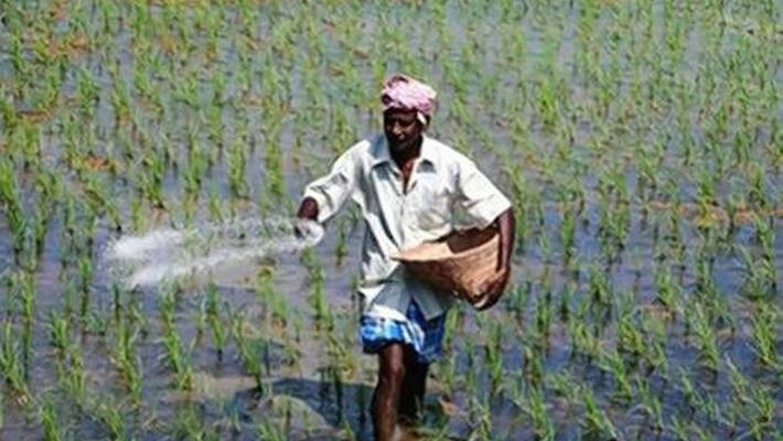 India reportedly plans to slash food and fertiliser subsidies by $17 billion in FY24. India reportedly plans to slash food and fertiliser subsidies by $17 billion in FY24.