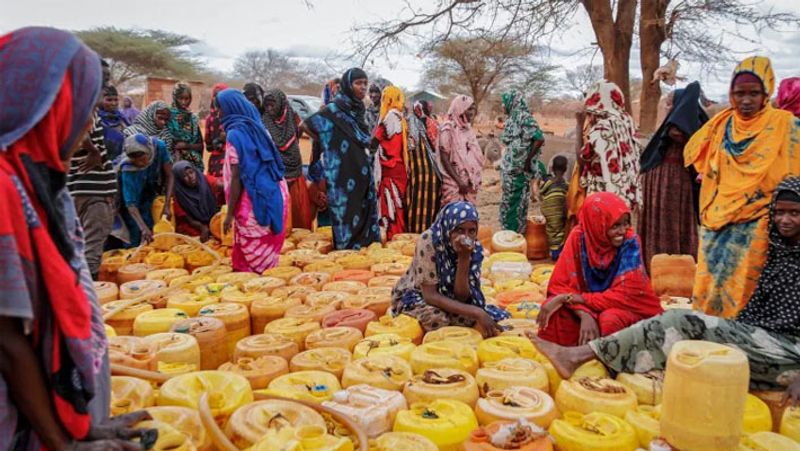 Severe drought in the African country of Kenya, viral pictures KPA