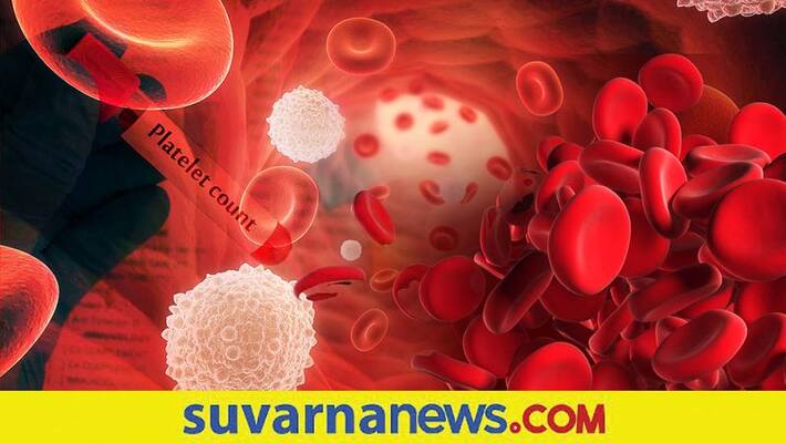 Lower Platelet count dangerous have good rich with Vitamin K C and iron Lower Platelet count dangerous have good rich with Vitamin K C and iron