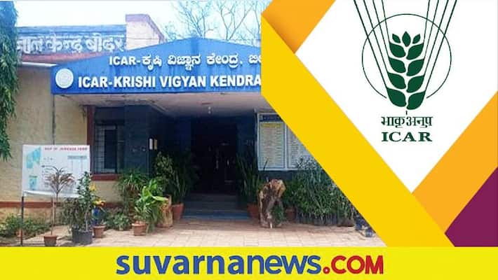 Indian Council of Agricultural Research Recruitment 2022 notification for IT Professional gow Indian Council of Agricultural Research Recruitment 2022 notification for IT Professional gow