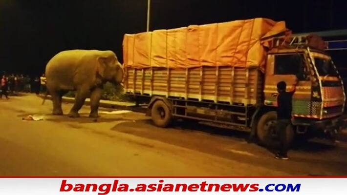 Elephant Attack on National Highway 6 traffic was stopped for a long time Elephant Attack on National Highway 6 traffic was stopped for a long time
