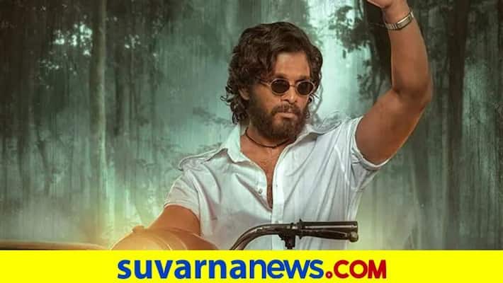 Pushpa box office collection Day 1 Allu Arjun film collects Rs 50 crore on its opening day dpl Pushpa box office collection Day 1 Allu Arjun film collects Rs 50 crore on its opening day dpl