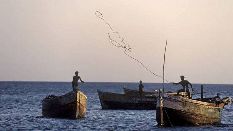 19 Tamil Nadu fishermen arrested by Sri Lankan navy sgb