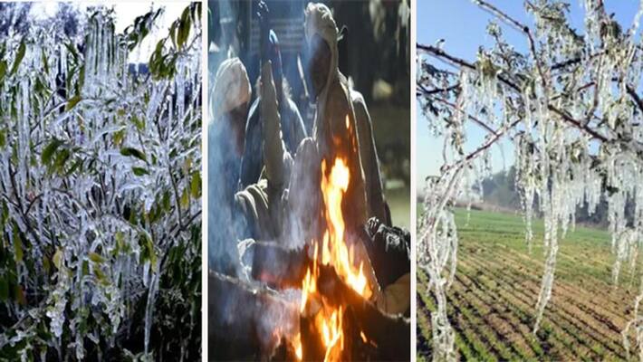Temperatures below normal in January.. Cold intensity is high..: IMD Temperatures below normal in January.. Cold intensity is high..: IMD