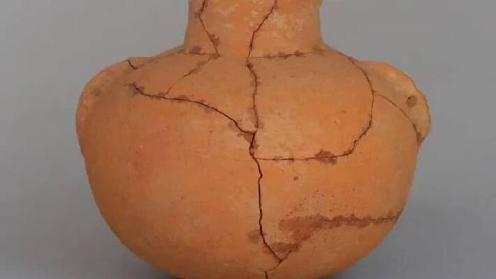 remnants of 8000 year old alcohol in china remnants of 8000 year old alcohol in china