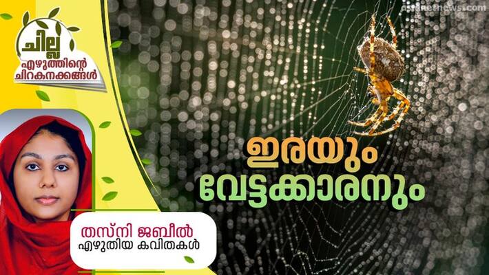chilla malayalam poem by Thasni jabeel chilla malayalam poem by Thasni jabeel