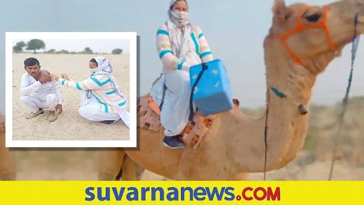 Female health care worker rides camel to reach Rajasthan village for vaccination drive akb Female health care worker rides camel to reach Rajasthan village for vaccination drive akb
