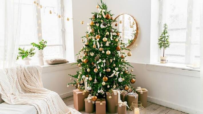 Decorate house in christmas by following the vastu tips Decorate house in christmas by following the vastu tips