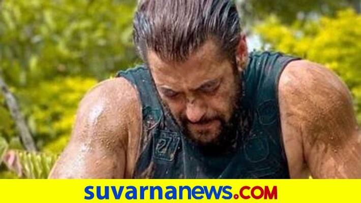 Salman Khan Gets Bitten by a Snake at His Farmhouse dpl Salman Khan Gets Bitten by a Snake at His Farmhouse dpl