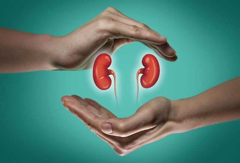 Do you have kidney problems? Know types of genetic diseases that affect kidneys RCB