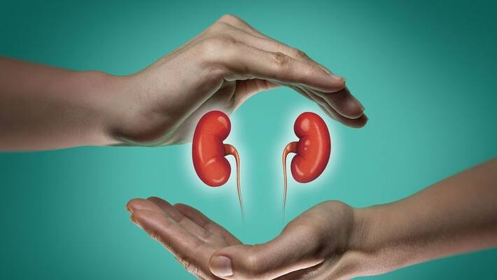 lalu prasad yadav undergoes kidney transplant in singapore here are diet plans for kidney patients lalu prasad yadav undergoes kidney transplant in singapore here are diet plans for kidney patients