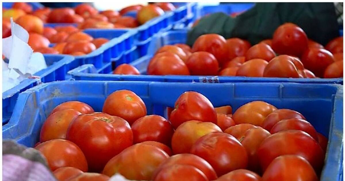 மகிழ்ச்சி செய்தி.. இனி குறைந்த விலையில் தக்காளி.. தமிழக அரசு எடுத்த அதிரடி..