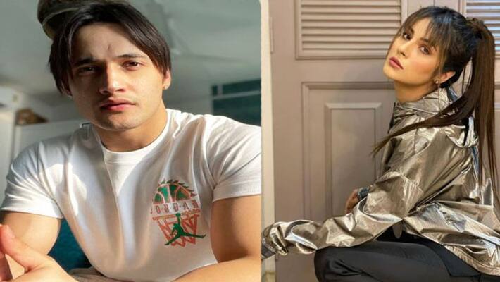 Asim Riaz clarifies his cryptic tweet was not for Shehnaaz Gill After getting trolled by fans NTP Asim Riaz clarifies his cryptic tweet was not for Shehnaaz Gill After getting trolled by fans NTP