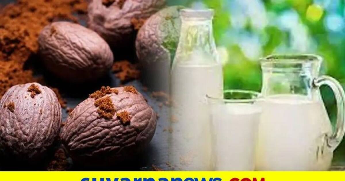 Nutmeg with Milk ಜಾಯಿಕಾಯಿಯನ್ನು ಹಾಲಿನೊಂದಿಗೆ ಬೆರೆಸಿ ಕುಡಿಯೋದು ಆರೋಗ್ಯಕ್ಕೆ