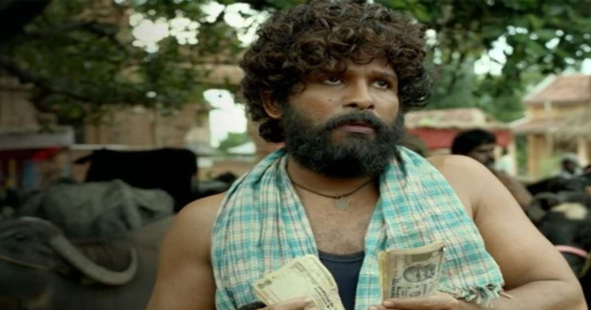 என்னது...புஷ்பா வெற்றிக்கு இதுதான் காரணமா? சரியான நேரத்தில் களமிறங்கிய அல்லுஅர்ஜூன்..