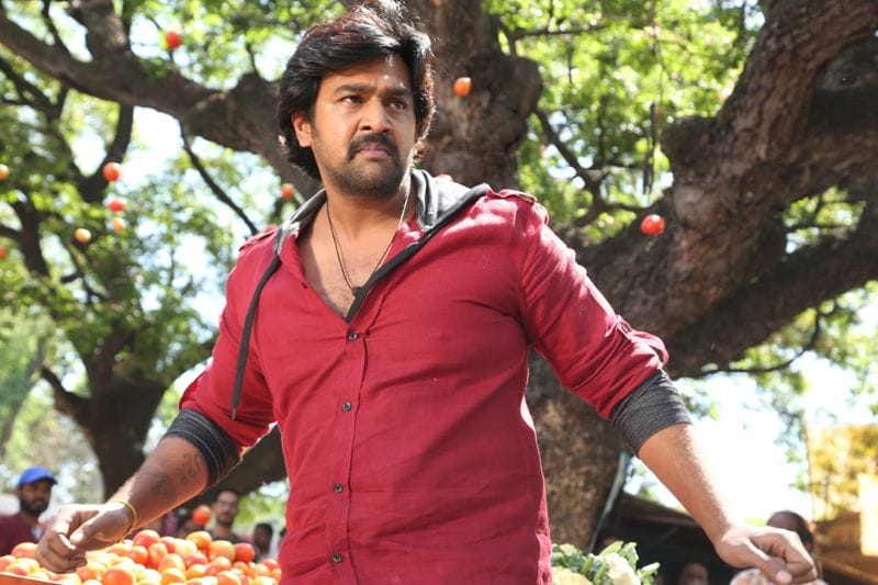 KK Puneeth rajkumar Sidharth Shukla and Chiranjeevi Sarja  Celebrity deaths from cardiac arrest