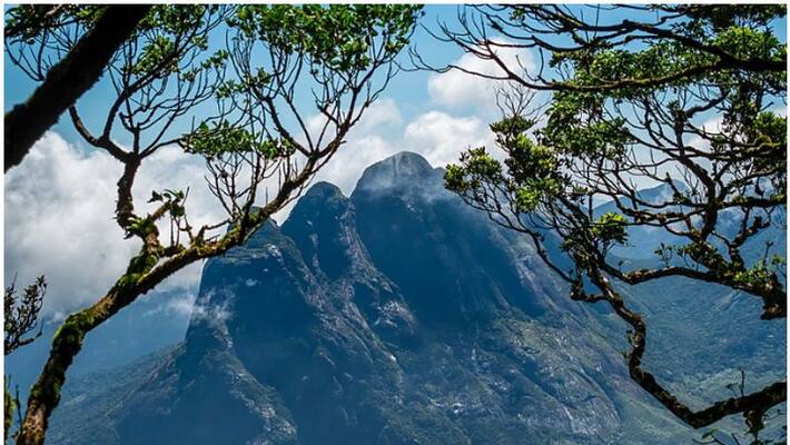 Agasthyakoodam trekking Kerala Government seeks explanation from Forest Conservator Agasthyakoodam trekking Kerala Government seeks explanation from Forest Conservator