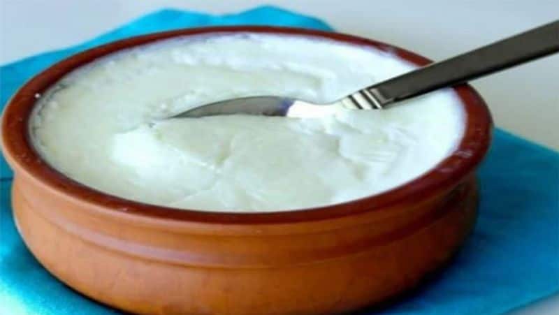 Health benefits of including curd in your daily menu 