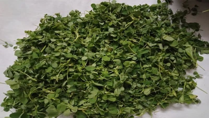 Kitchen Tips: How to store green vegetables for a year dva